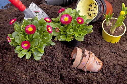 Garden waste sorting for eco-friendly disposal in Tufnell Park