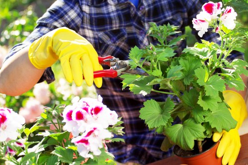 Local garden clearance service handling overgrown waste in Tufnell Park