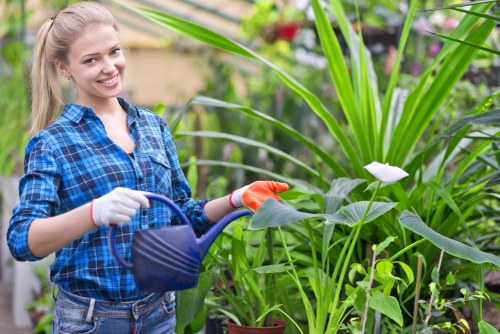 Rubbish removal and garden clearance pricing in Tufnell Park