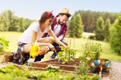 Grass cutting and edging for a local residential lawn