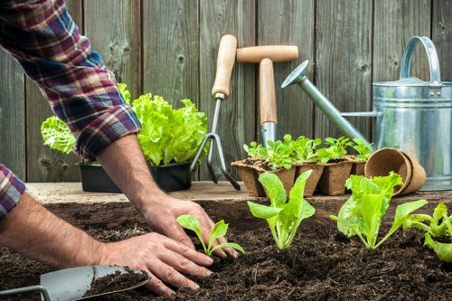 Local lawn care for Tufnellpark gardens and shared outdoor spaces