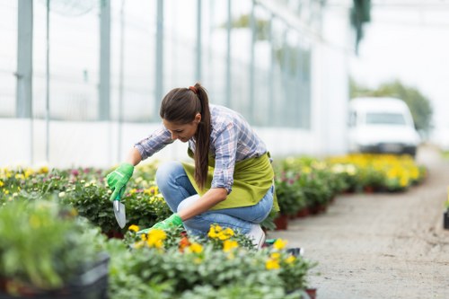 Accessibility statement header image for Landscapers Tufnellpark