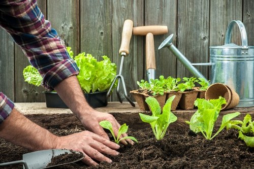 SSL protected payment process for Landscapers Tufnellpark services