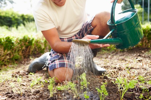 Team assessing completed garden work during a complaint review