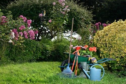 Professional hedge trimming for a Tufnellpark garden boundary