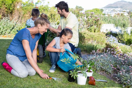 Professional lawn treatment for shaded north London lawns