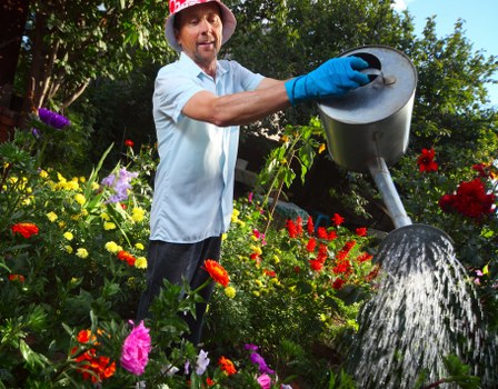 Removal of branches, green waste, and old garden items from a London garden