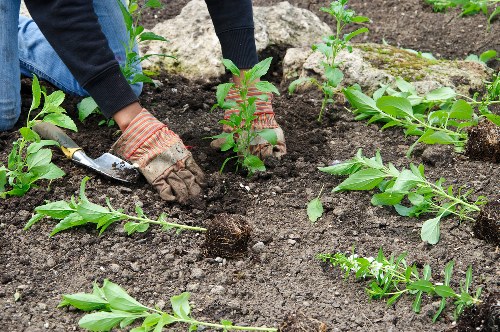 Trusted secure payment options for Landscapers Tufnellpark customers