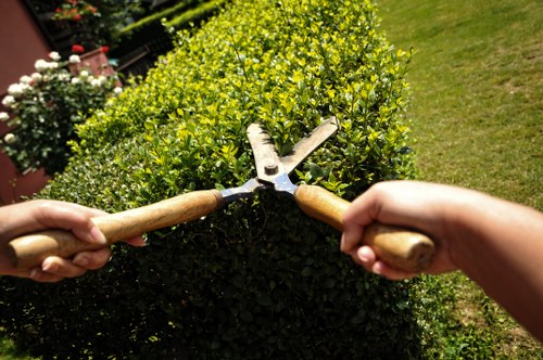 Reusable garden materials prepared for charity donation