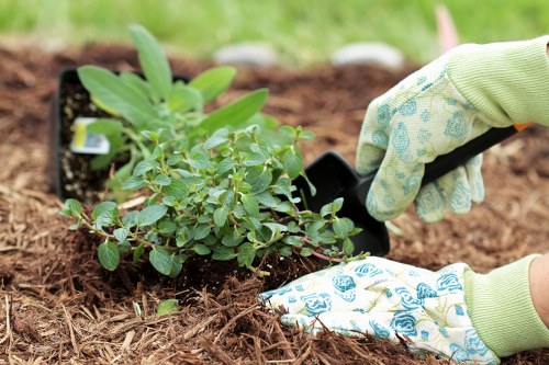 Low-maintenance flower bed being created for a Tufnell Park property
