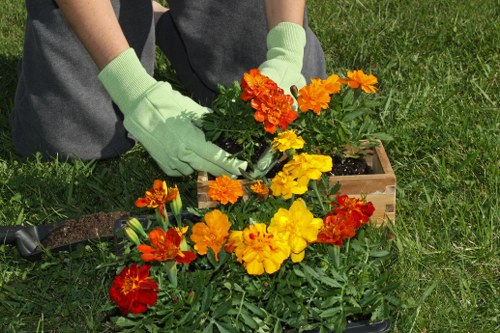 Risk-based supplier audit process for Landscapers Tufnellpark