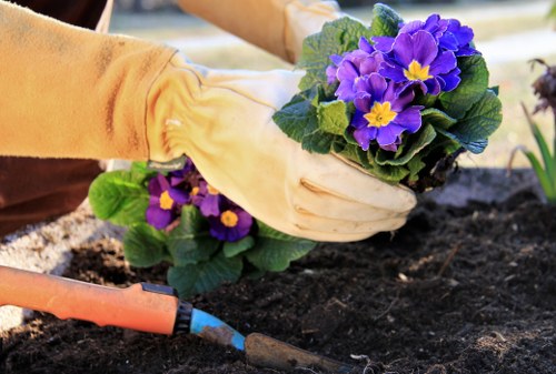 Professional lawn care for a communal garden in Tufnellpark