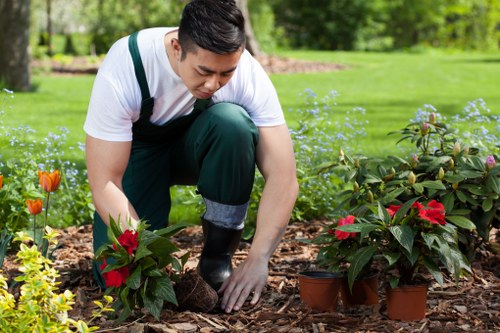 Ongoing commitment to ethical landscaping and worker protection in Tufnellpark