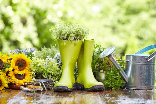 Regular grass cutting service for homes and businesses near Tufnell Park