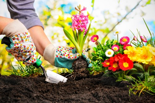 Shade-tolerant planting for a small North London garden