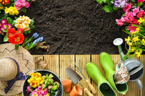 Grass cutting, edging, and maintenance for a Tufnellpark property