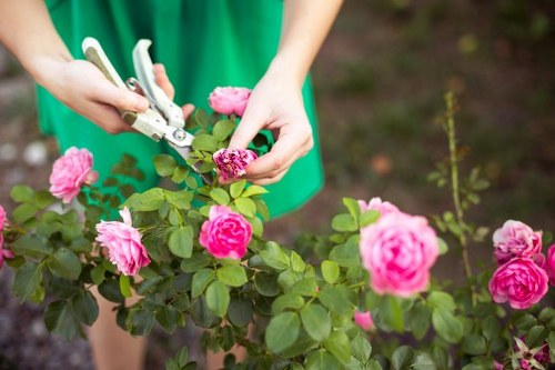 Free quote and pricing policy for Landscapers Tufnellpark