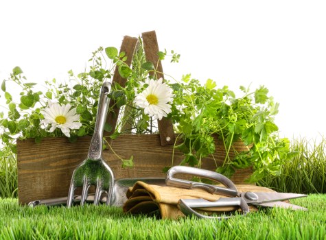 Local transfer station recycling loads from landscaping work