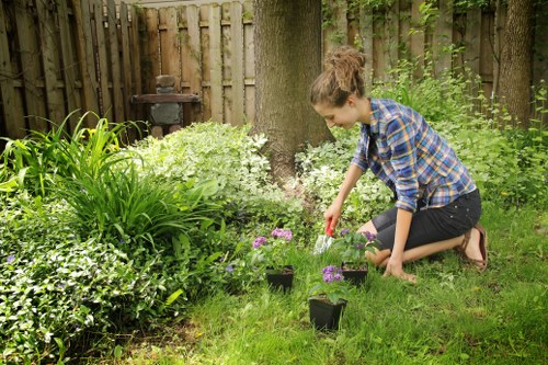 Residential and commercial landscaping services available in Tufnell Park