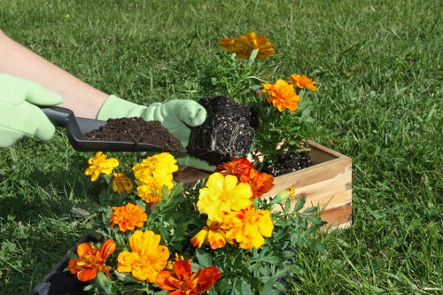 Ongoing accessibility improvement for Landscapers Tufnellpark area pages
