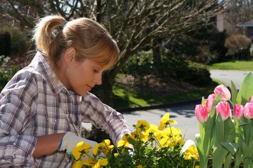 Professional tree care service for homes and businesses in Tufnellpark